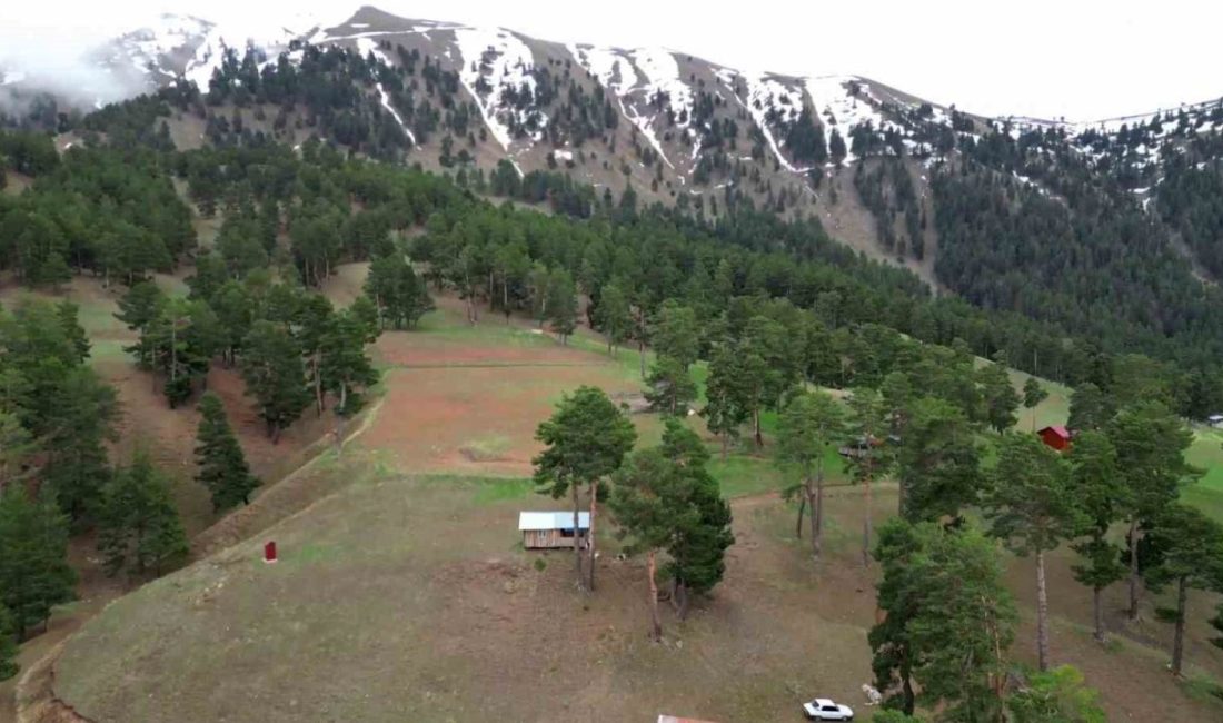 Erzurum’un Uzundere ilçesine bağlı Sapaca Mahallesi Yaylası’nın Puşulu Mezrası’na sonbahar