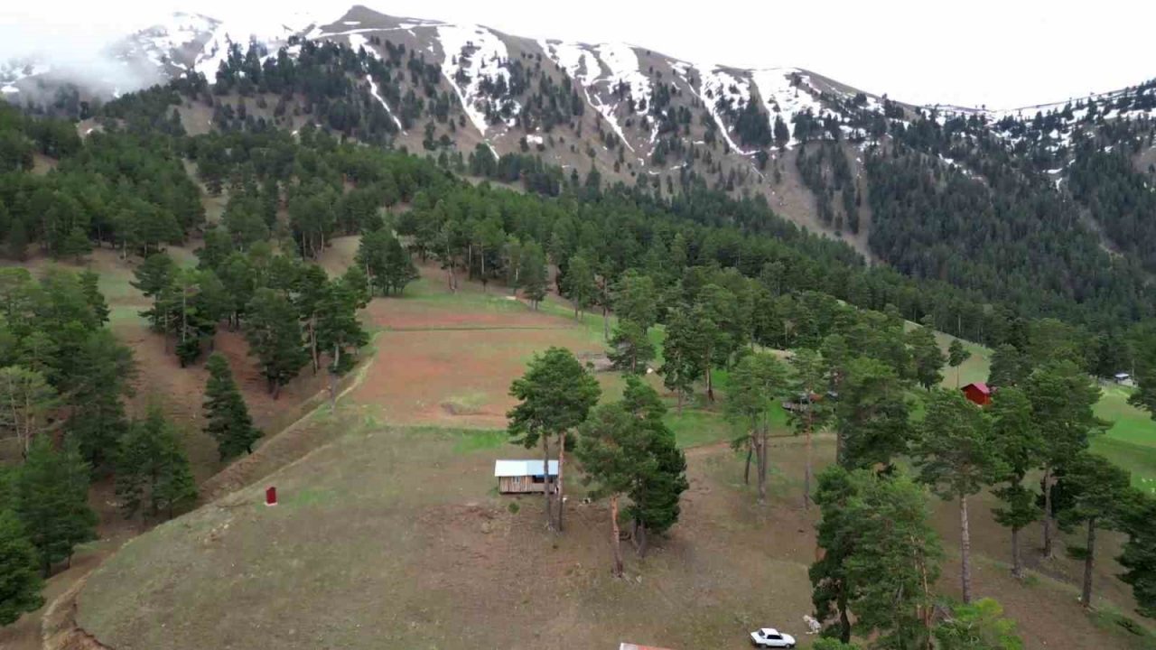 Erzurum’un Uzundere ilçesine bağlı Sapaca Mahallesi Yaylası’nın Puşulu Mezrası’na sonbahar