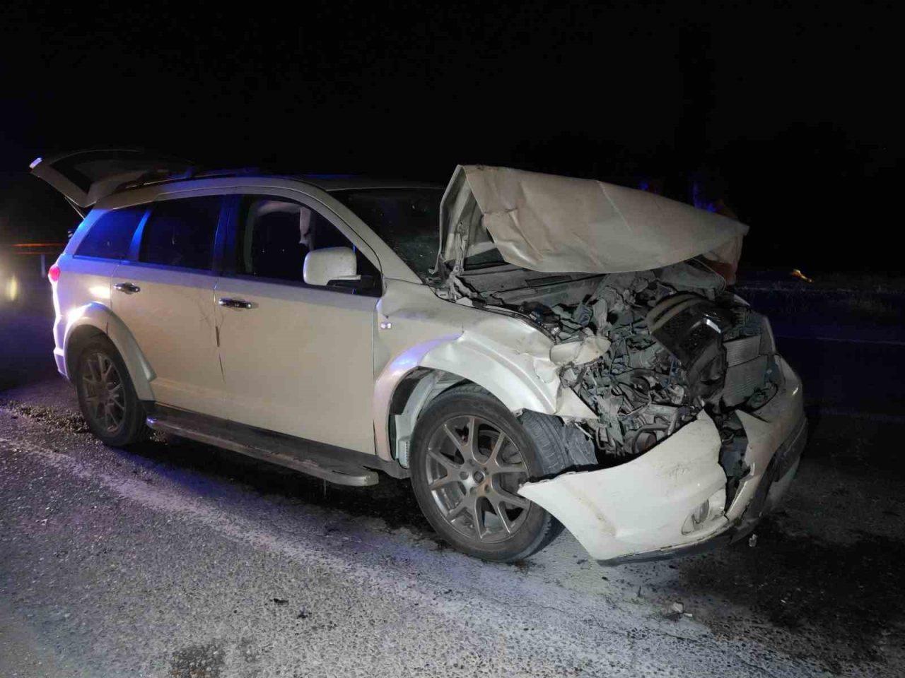 Kastamonu-Sinop karayolu üzerinde yola çıkan büyükbaş hayvanlara yolcu otobüsü ile