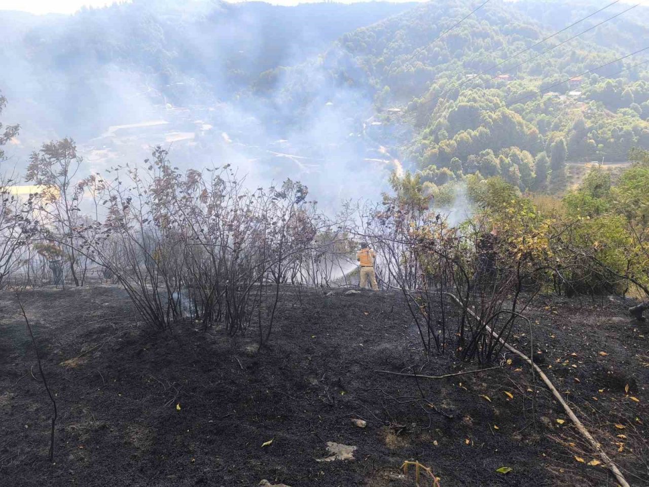 Zonguldak’ta 2 dekarlık alanda meydana gelen örtü yangını, ekiplerin müdahalesi