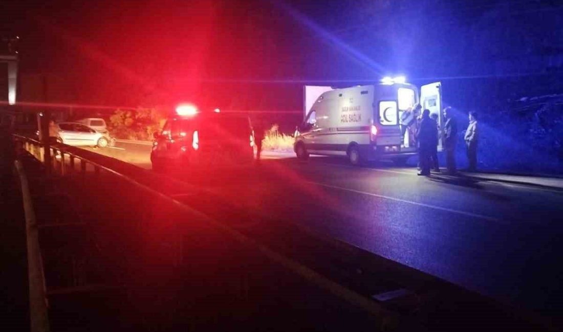 Zonguldak’ın Ereğli ilçesinde iki otomobilin çarpıştığı kazada 2 kişi yaralandı.