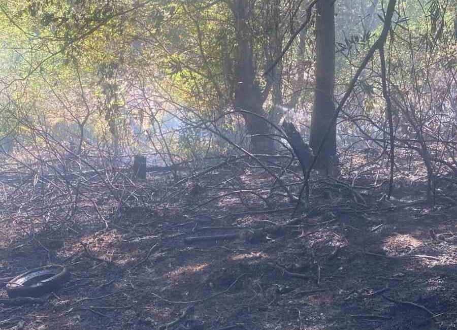 Zonguldak’ta merkeze bağlı Asma Mahallesi’nde ormanlık alanda çıkan yangın ekiplerin