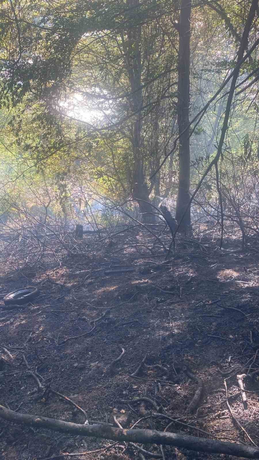 Zonguldak’ta merkeze bağlı Asma Mahallesi’nde ormanlık alanda çıkan yangın ekiplerin