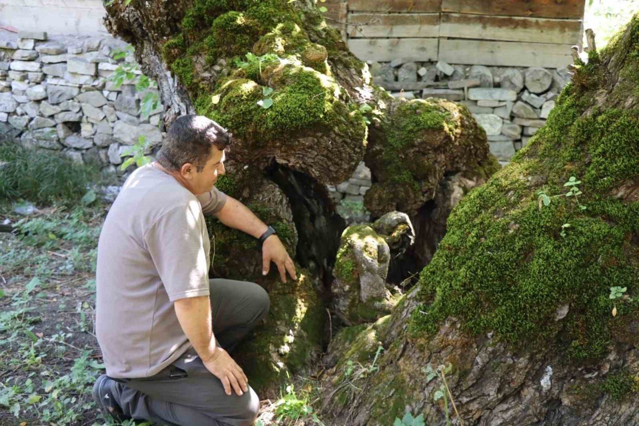 Erzurum’un Oltu ilçesine bağlı Arıtaş Mahallesi’nde bulunan yaklaşık 300 yıllık