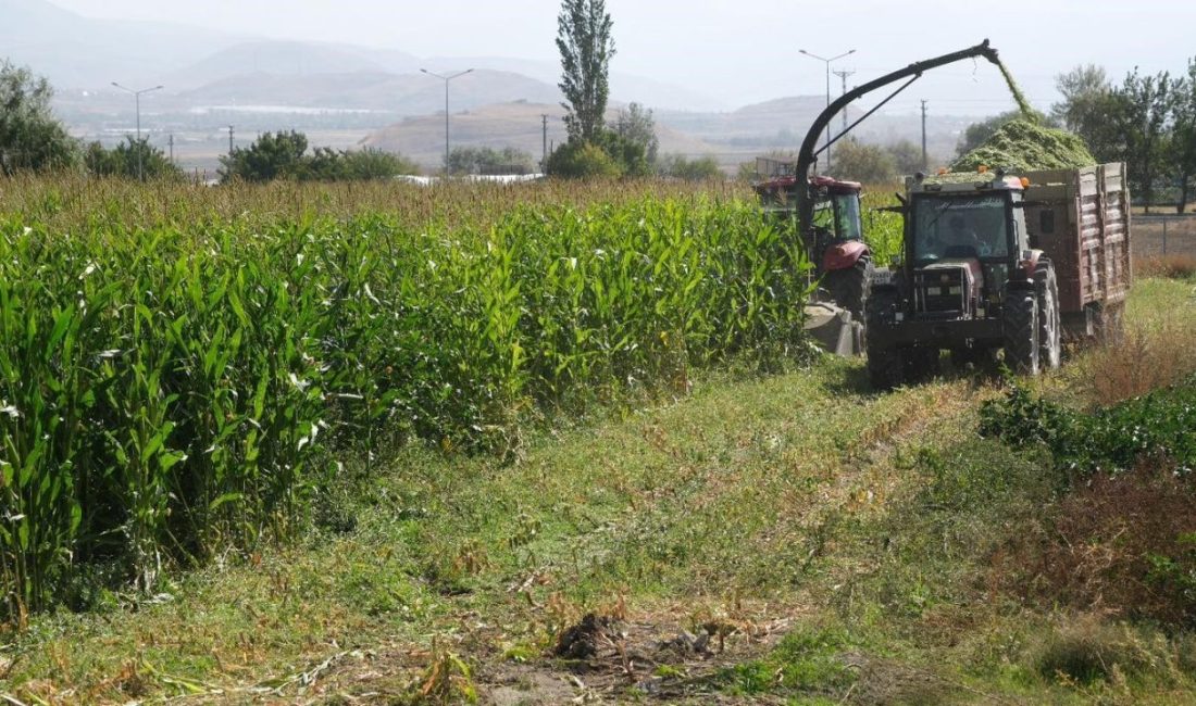 Erzincan Belediyesi Park ve Bahçeler Müdürlüğü tarım ekibi tarafından 98