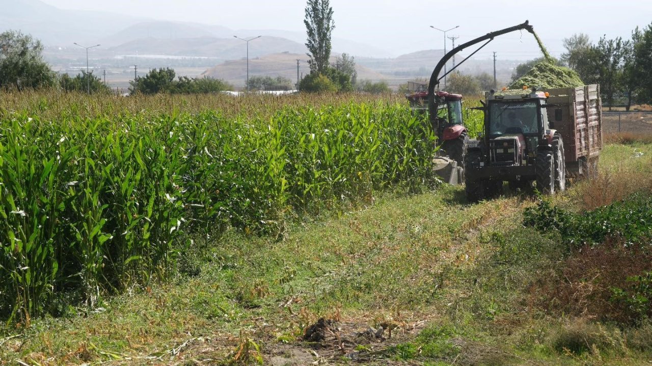 Erzincan Belediyesi Park ve Bahçeler Müdürlüğü tarım ekibi tarafından 98