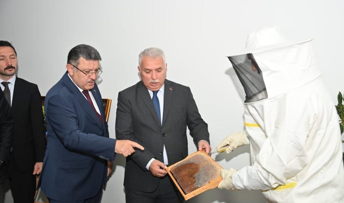 Ağasar Balı’nın marka değerinin artırılması ve coğrafi işaret tescili sürecine