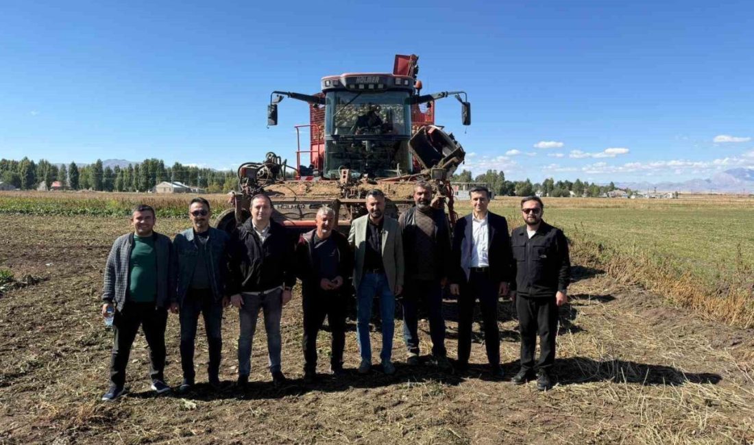 AK Parti Ağrı İl Başkanı İlhamı Yıldız, pancar hasadı programında