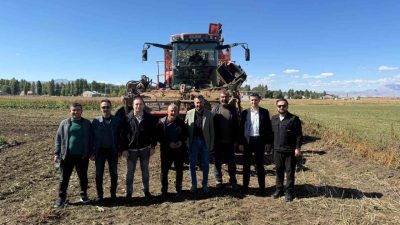 AK Parti Ağrı İl Başkanı İlhamı Yıldız, pancar hasadı programında