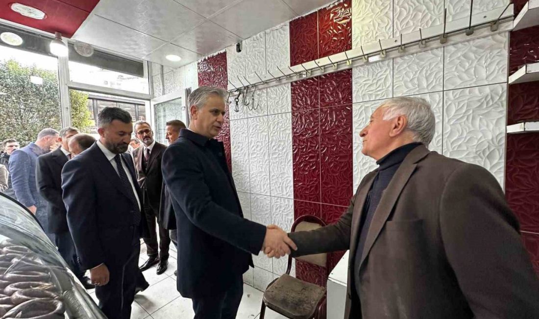 AK Parti Genel Başkan Yardımcısı ve İnsan Hakları Başkanı Prof.