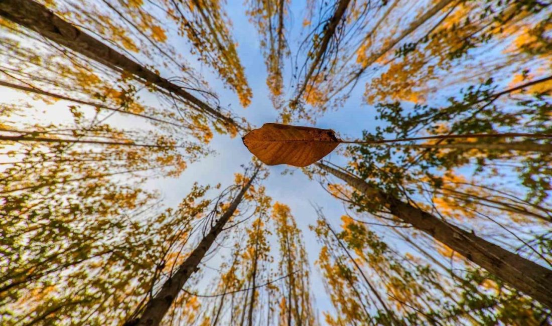Erzincan ile Tunceli arasında sınır oluşturan ve sonbaharın sonuna doğru