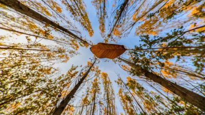 Erzincan ile Tunceli arasında sınır oluşturan ve sonbaharın sonuna doğru