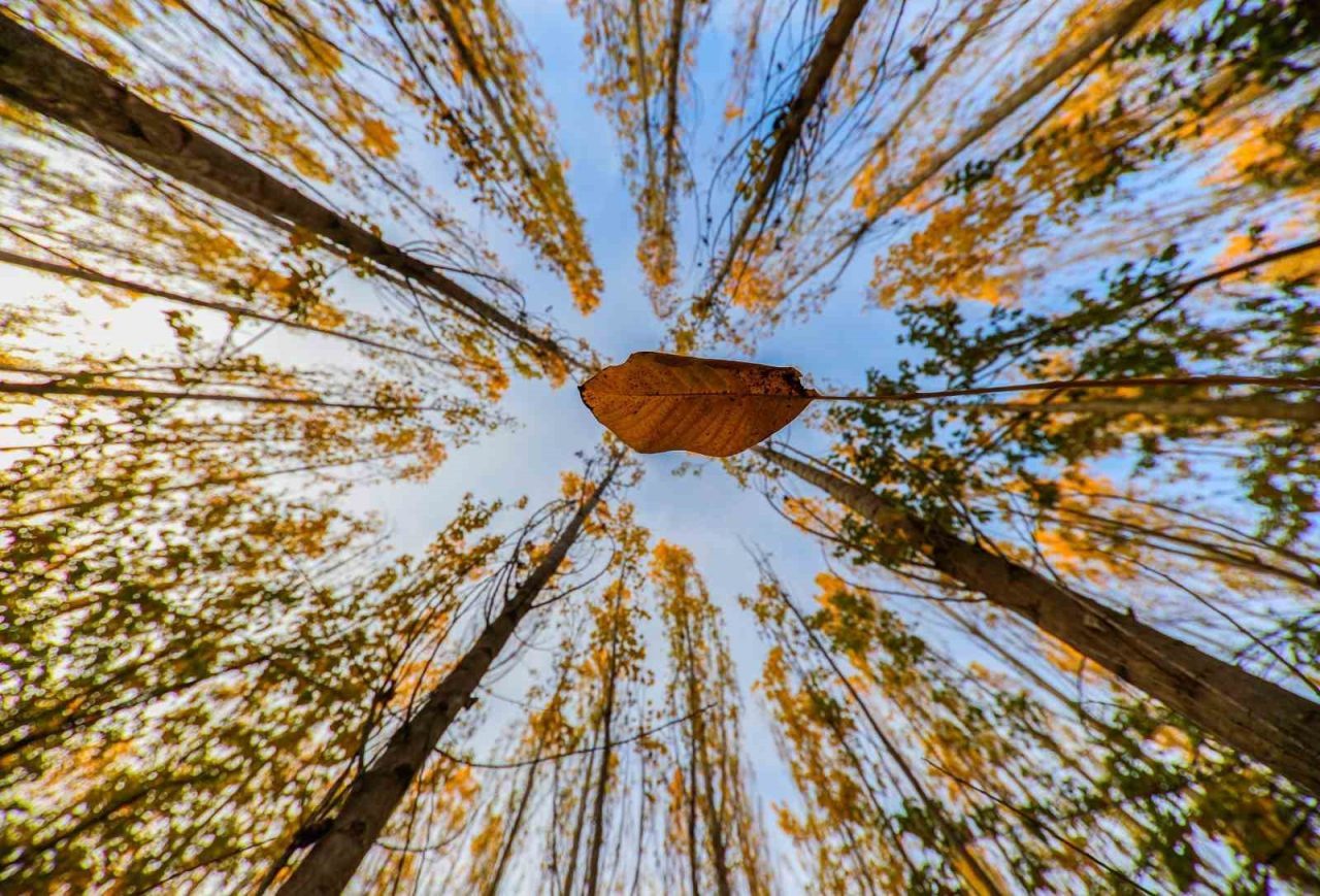 Erzincan ile Tunceli arasında sınır oluşturan ve sonbaharın sonuna doğru