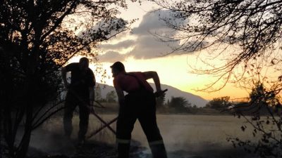 Erzincan’ın Günbağı köyü arazisinde çıkan anız yangını itfaiye ekiplerinin müdahalesiyle