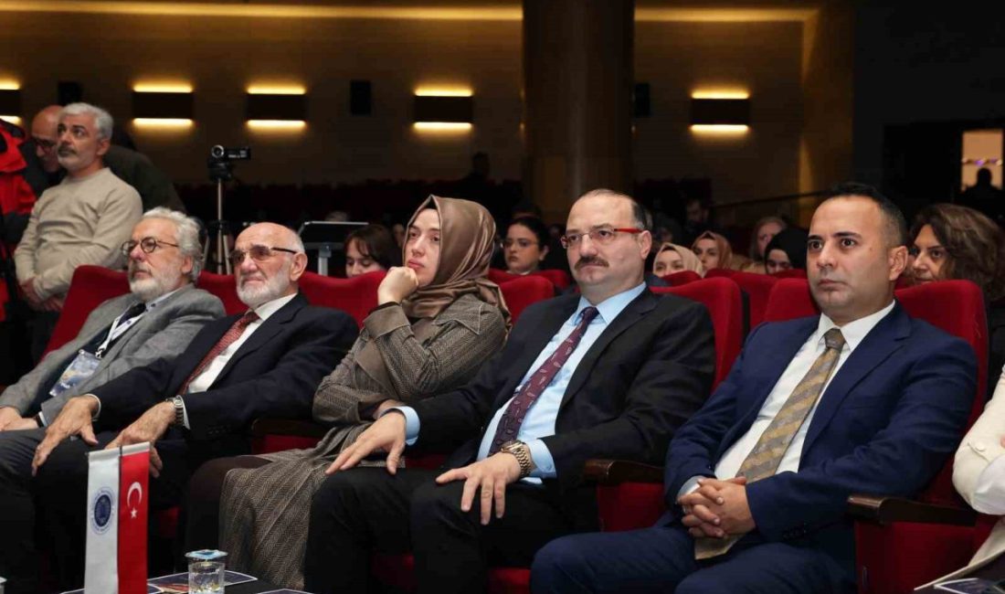 Atatürk Üniversitesi Güzel Sanatlar Fakültesi ile İslam Tarih, Sanat ve