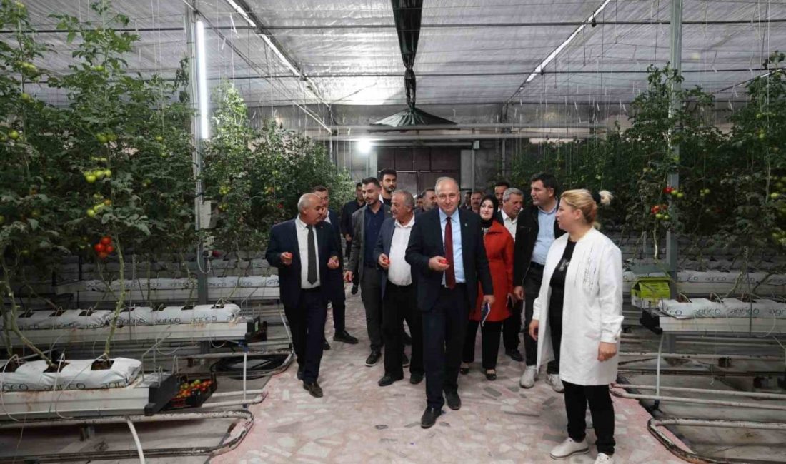 Erzurum’un Aziziye ilçesinde belediyenin yatırım ve hizmetlerine yönelik olarak saha