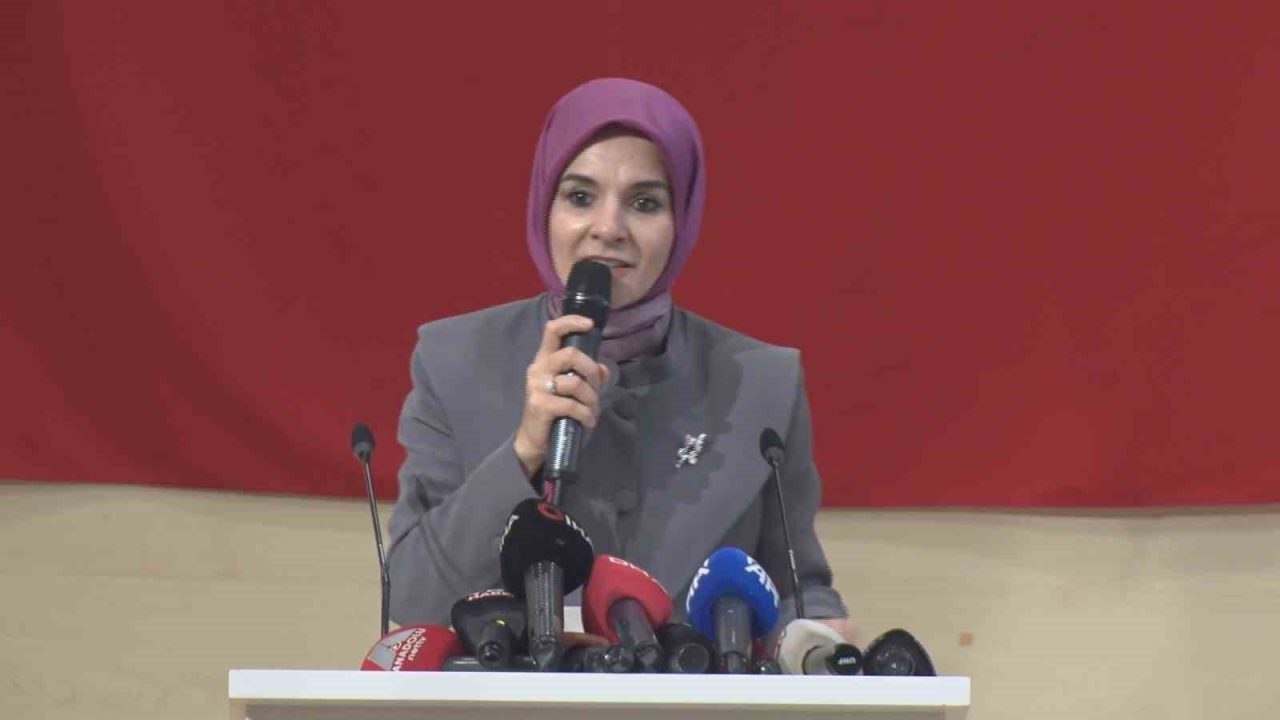 Aile ve Sosyal Hizmetler Bakanı Mahinur Özdemir Göktaş, kadına yönelik