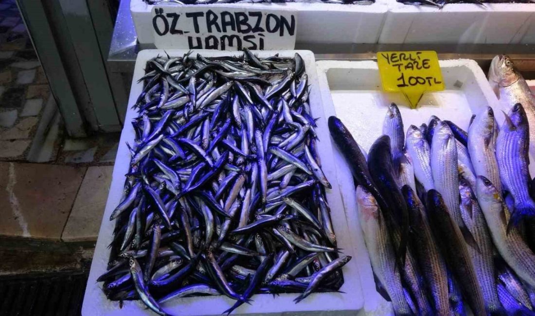 Trabzon ve Hopa açıklarında son günlerde bulunan Ukrayna’ya ait insansız