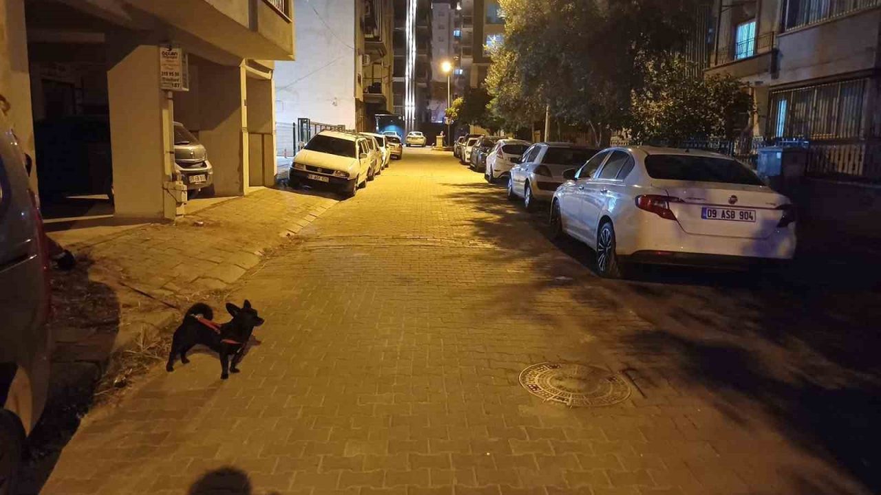 Balıkesir’in Sındırgı ilçesinde meydana gelen 6.1 büyüklüğündeki deprem, Aydın’da da