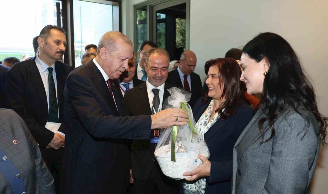 Aydın Büyükşehir Belediye Başkanı Özlem Çerçioğlu, AK Parti Genel Başkanı