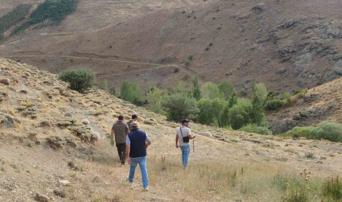Bayburt’un Aydıntepe ilçesine bağlı Sırataşlar köyünde annesini kaybettiği düşünülen ve