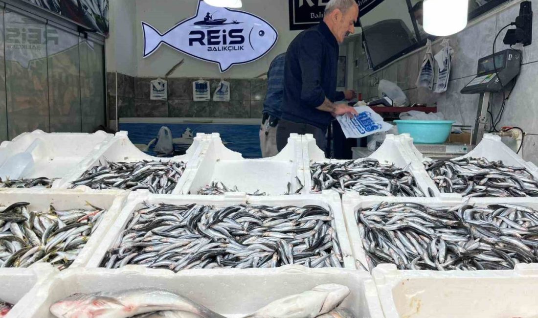 Havanın soğumasıyla birlikte balık tezgahları Bayburt’ta yeniden hareketlendi. Sezonun sevilen