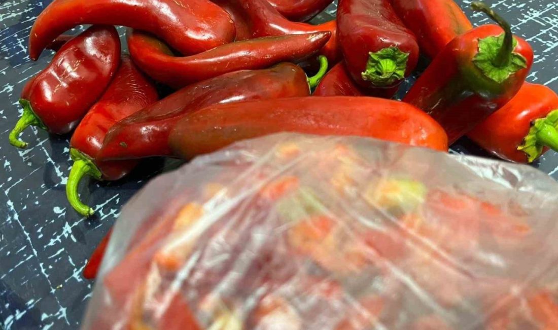 Bayburt’ta kadınlar, yaklaşan kış öncesi geleneksel kışlık hazırlıklarını sürdürüyor. Her