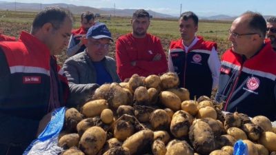 Patates üretimi açısından iklim şartları ve verimlilik yönünden önemli bir