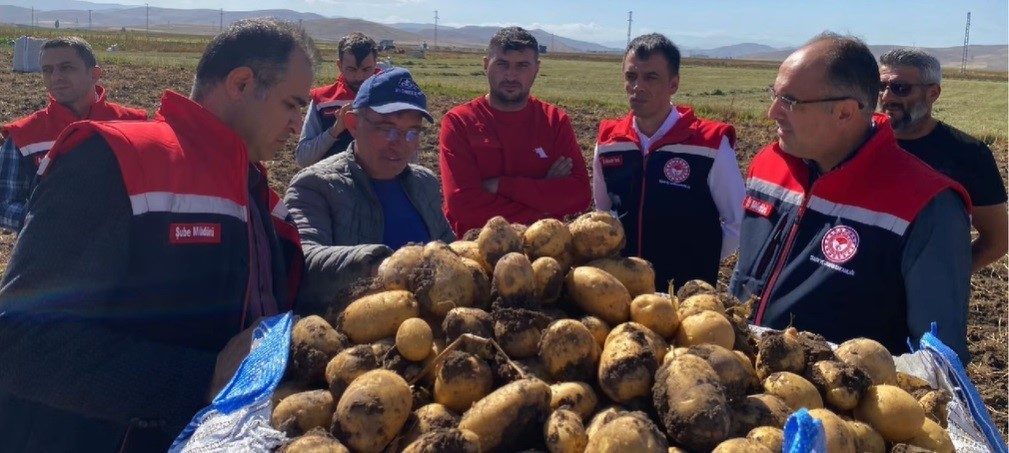 Patates üretimi açısından iklim şartları ve verimlilik yönünden önemli bir