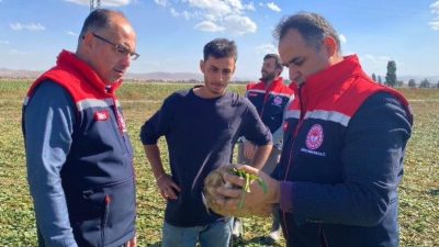 Bayburt’ta şeker pancarı hasadı başladı. Tomlacık köyünde üreticilerle bir araya