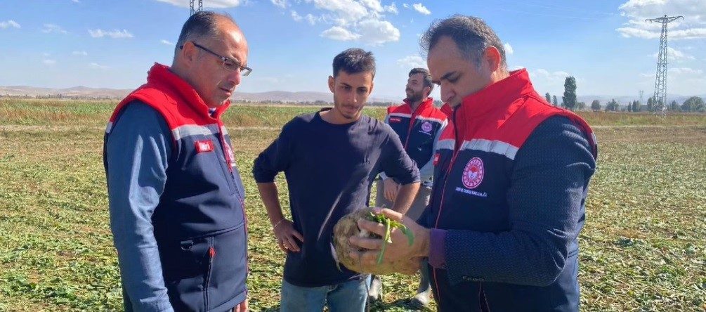 Bayburt’ta şeker pancarı hasadı başladı. Tomlacık köyünde üreticilerle bir araya
