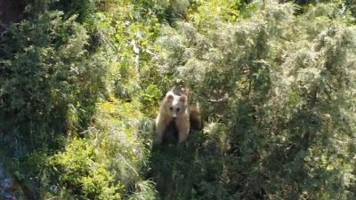 Erzurum’un Oltu ilçesinde doğa tutkunlarının yüzünü güldüren bir olay yaşandı.