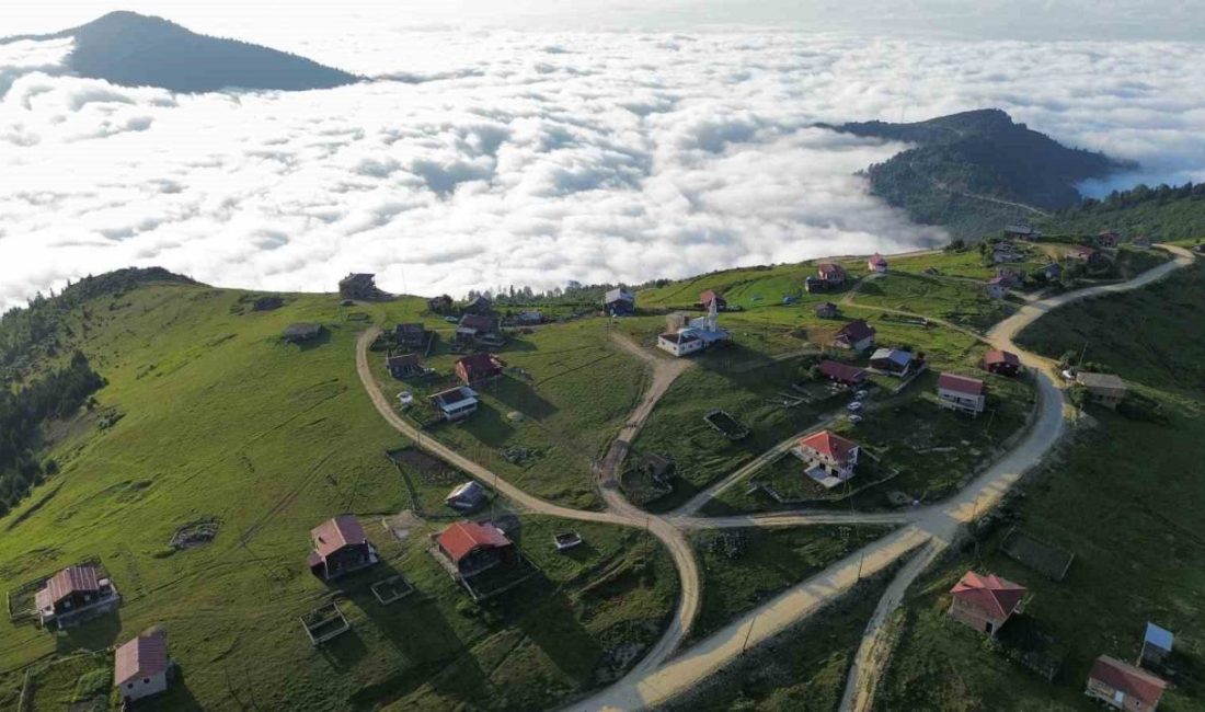 Trabzon’un Hayrat ilçesi sınırları içindeki 2 bin 100 metre yükseklikteki