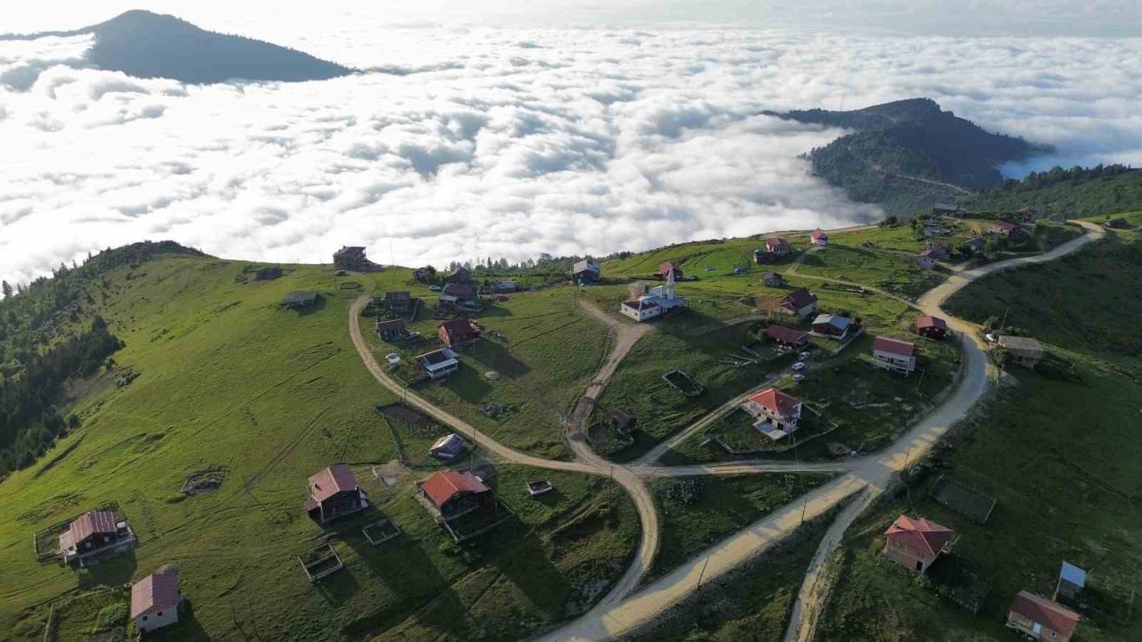 Trabzon’un Hayrat ilçesi sınırları içindeki 2 bin 100 metre yükseklikteki