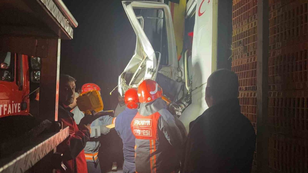 Sakarya’nın Pamukova ilçesinde D-650 kara yolunda canlı tavuk yüklü tır,