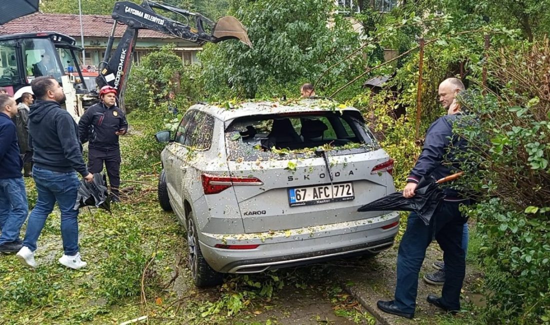 Zonguldak’ın Çaycuma ilçesinde park halindeki bir otomobilin üzerine ağaç devrildi.