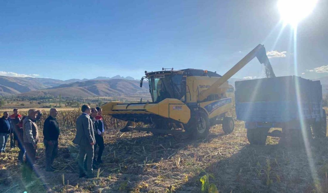Erzincan’ın Çayırlı ilçesinde 18 bin dekar alanda üretimi yapılan çerezlik
