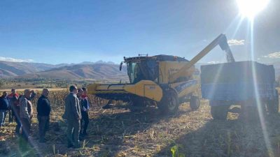 Erzincan’ın Çayırlı ilçesinde 18 bin dekar alanda üretimi yapılan çerezlik