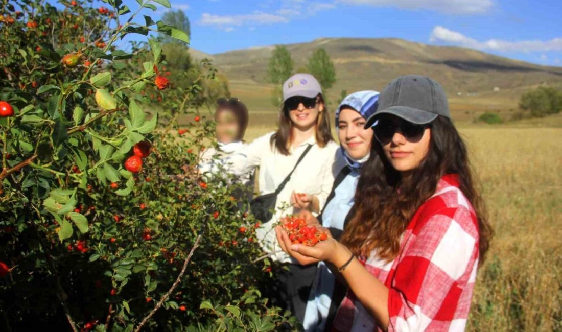 Doğada organik olarak yetiştiği için en saf meyvelerden birisi sayılan
