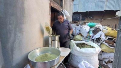 Erzincan’ın Kemaliye ilçesine has olan baharat türü Zetrin, 120 bitkinin