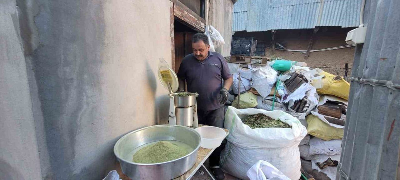 Erzincan’ın Kemaliye ilçesine has olan baharat türü Zetrin, 120 bitkinin