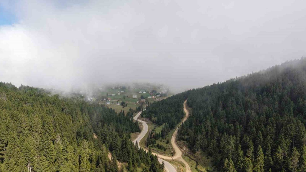 Türkiye’nin en fazla yağış alan bölgesi olan Karadeniz’de dik yamaçlar