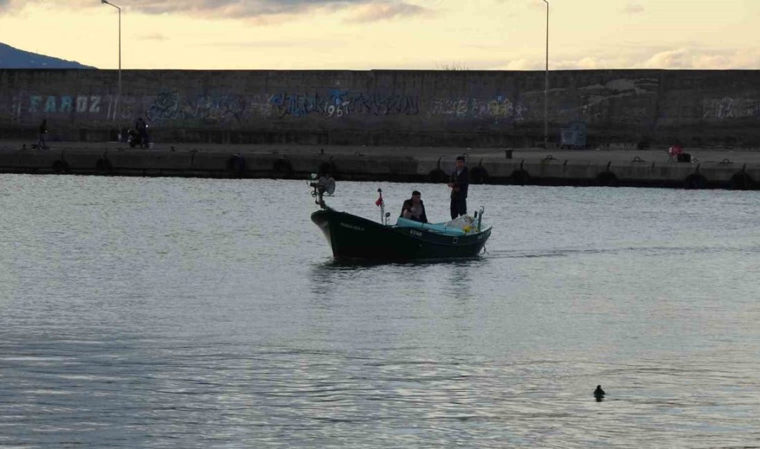 Doğu Karadeniz’de geçen yıl bolca avlanan palamut bu sezon tezgâhlarda
