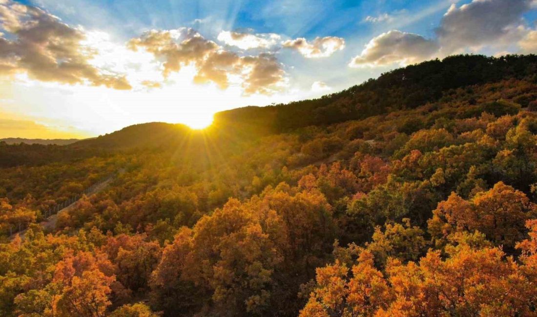 Erzincan ile Tunceli arasında sınır oluşturan ve sonbaharın sonuna doğru
