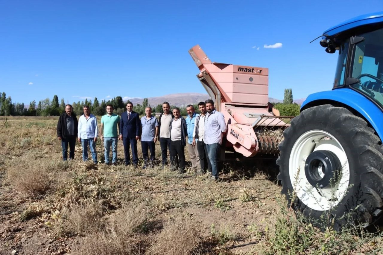 Erzincan Bahçe Kültürleri Araştırma Enstitüsü Müdürlüğü bünyesinde ekimi yapılan kuru