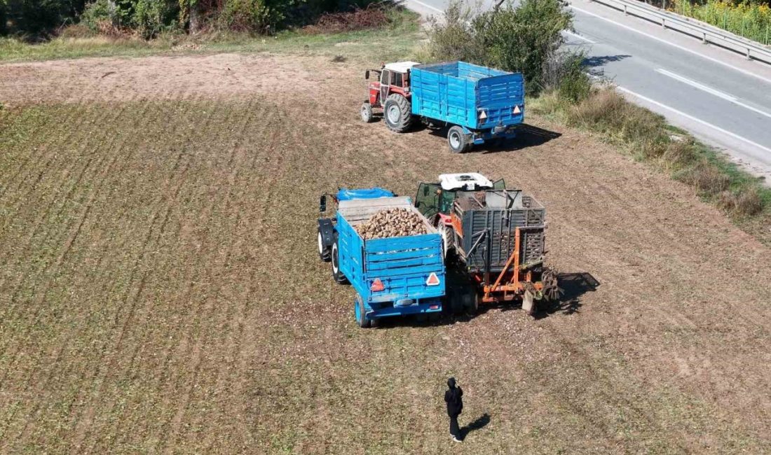 Türkiye’nin en yüksek şeker oranına sahip pancarların yetiştiği illerden birisi