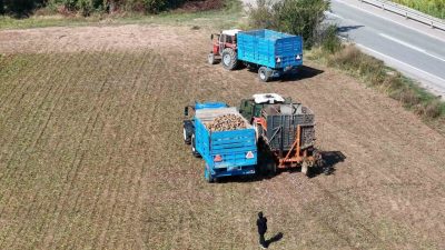 Türkiye’nin en yüksek şeker oranına sahip pancarların yetiştiği illerden birisi
