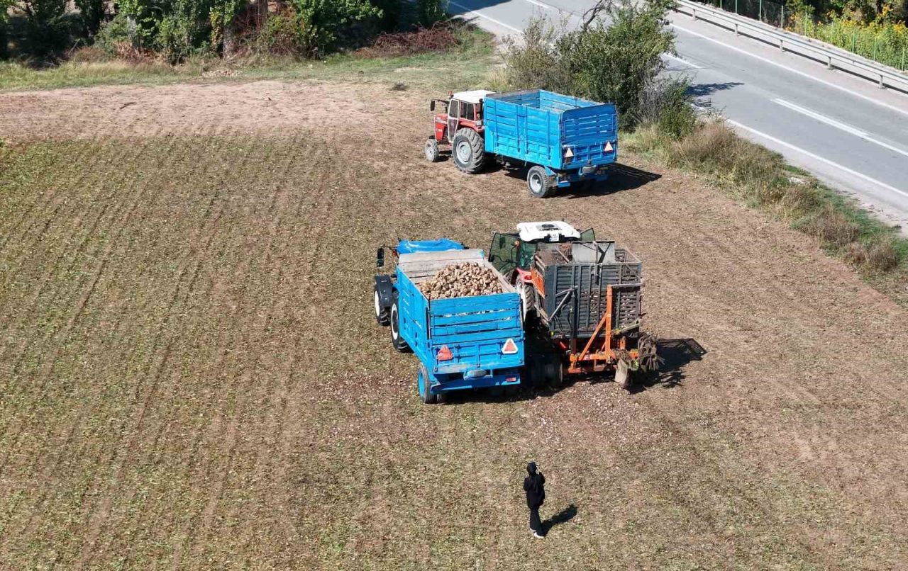 Türkiye’nin en yüksek şeker oranına sahip pancarların yetiştiği illerden birisi