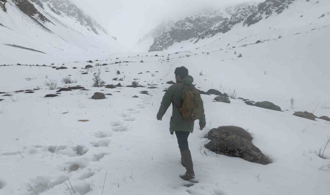 Erzincan’ın yüksek kesimlerine kar yağdı. Hava sıcaklığının 3 ila 5