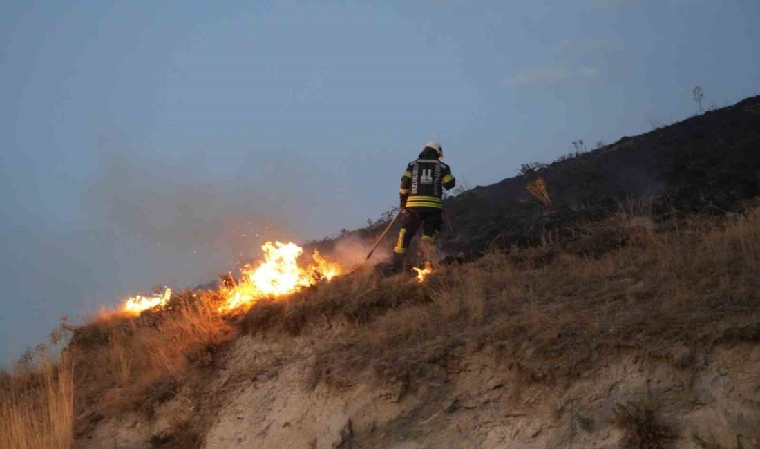 Erzurum’da havai fişek nedeniyle çıkan ot yangını itfaiye ekiplerince söndürüldü.